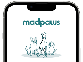 Madpaws