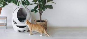 automatic litterbox