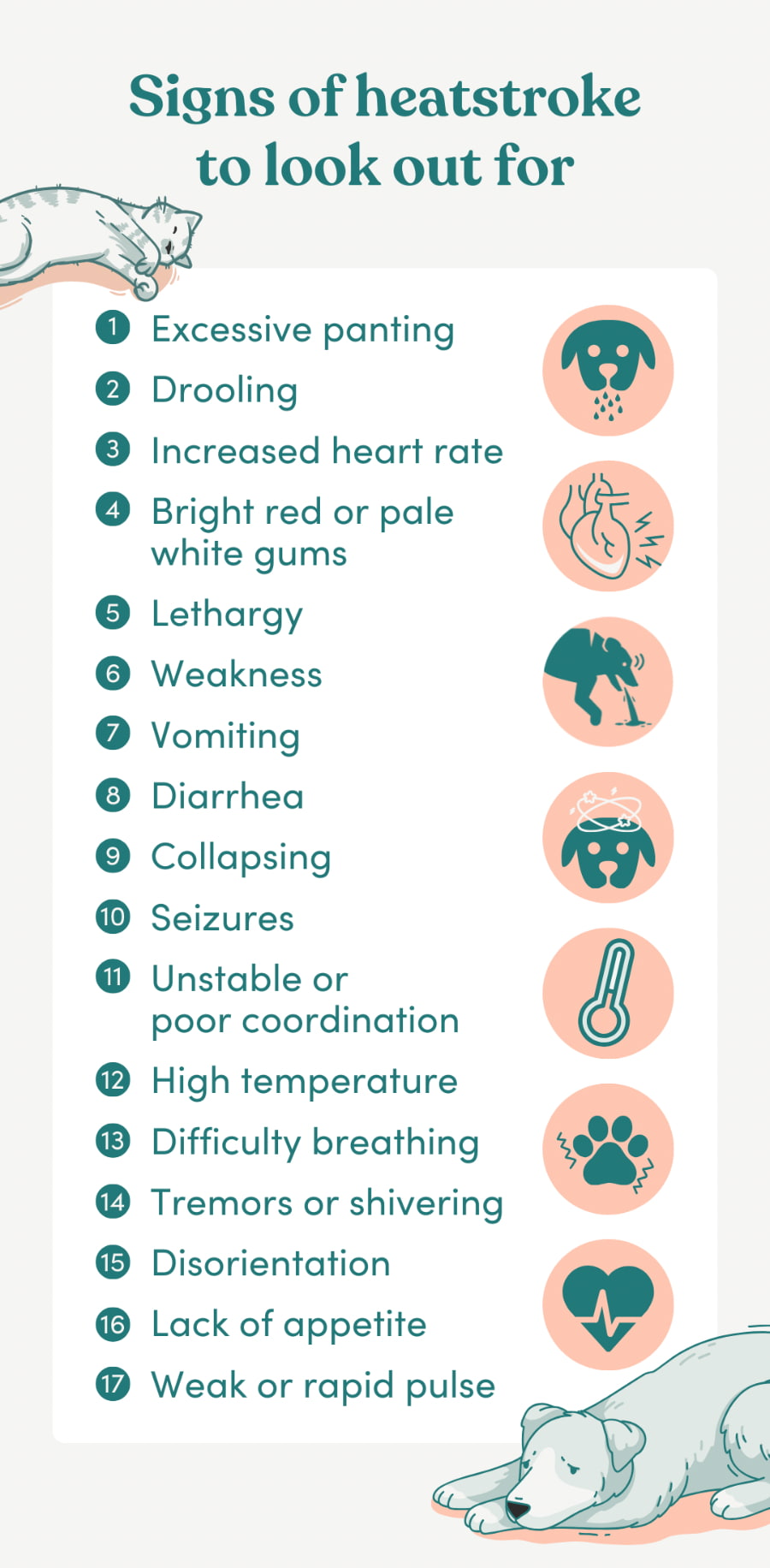 signs of heatstroke in pets