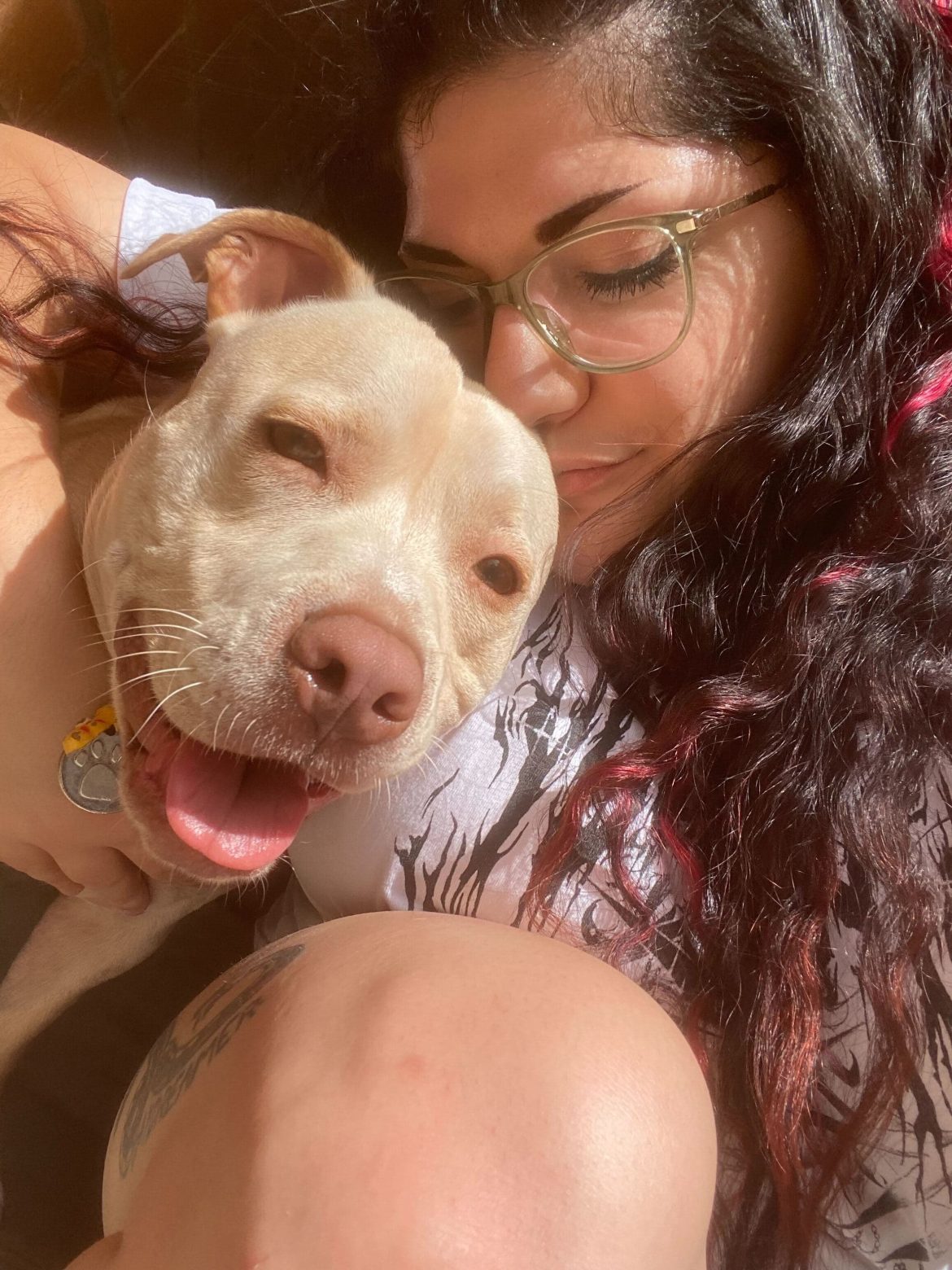 pet adoption melbourne