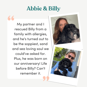 pet adoption stories of success