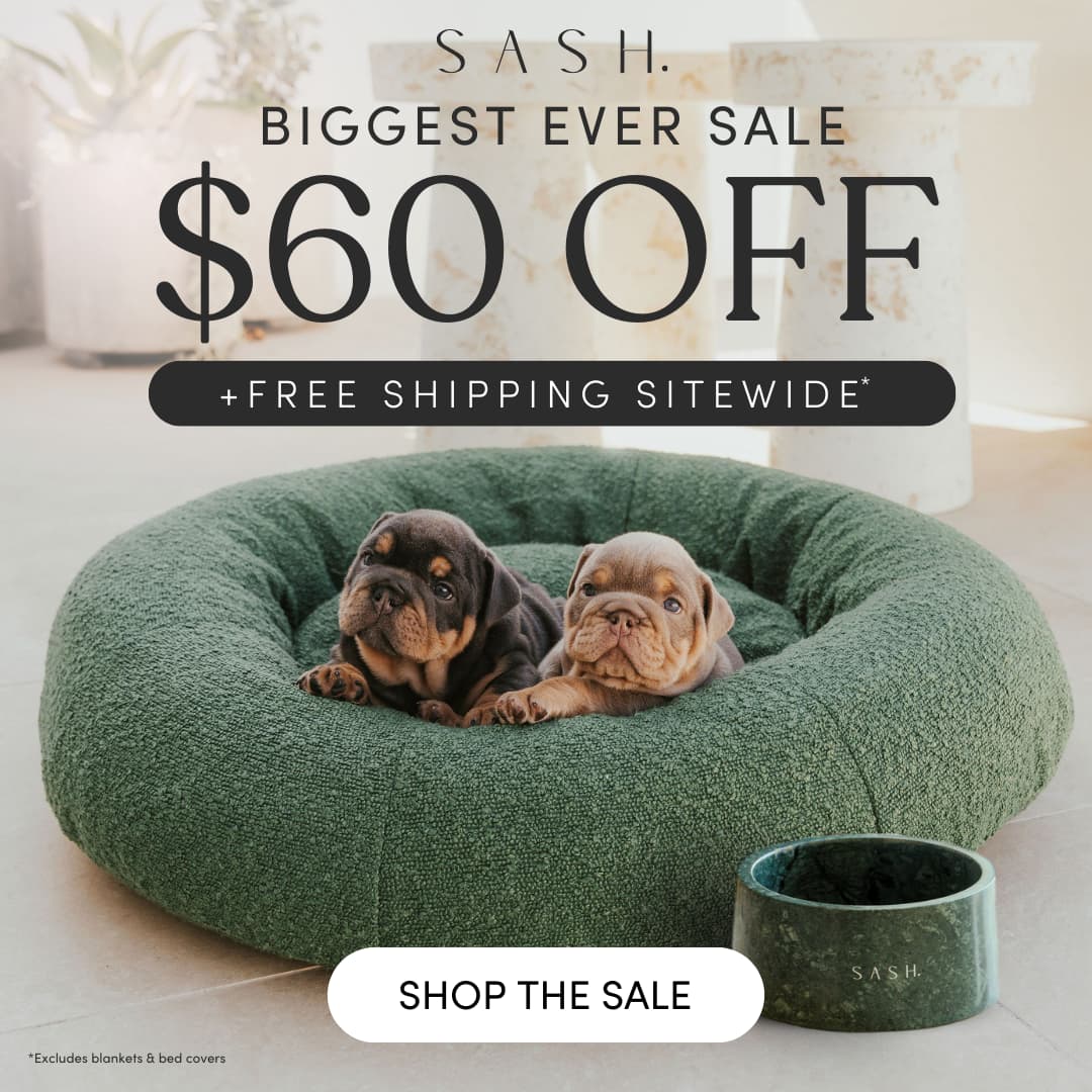 SASH Pet Beds Sale