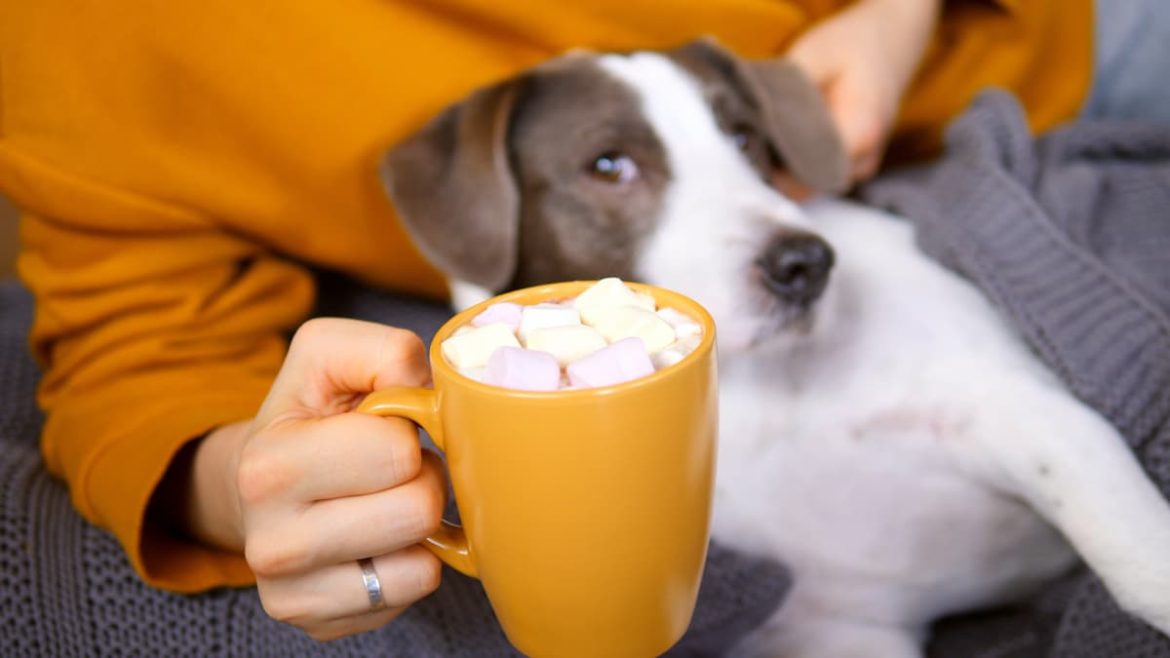shutterstock_1605557545 (1)-dog-marshmellows can dogs eat marshmellows