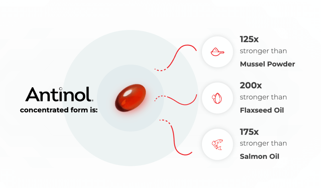 Antinol Plus joint supplement for dogs