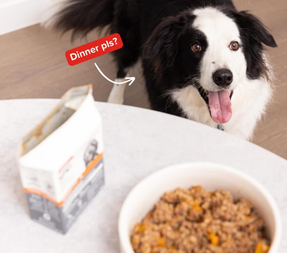 Looking for sensitive stomach dog food?