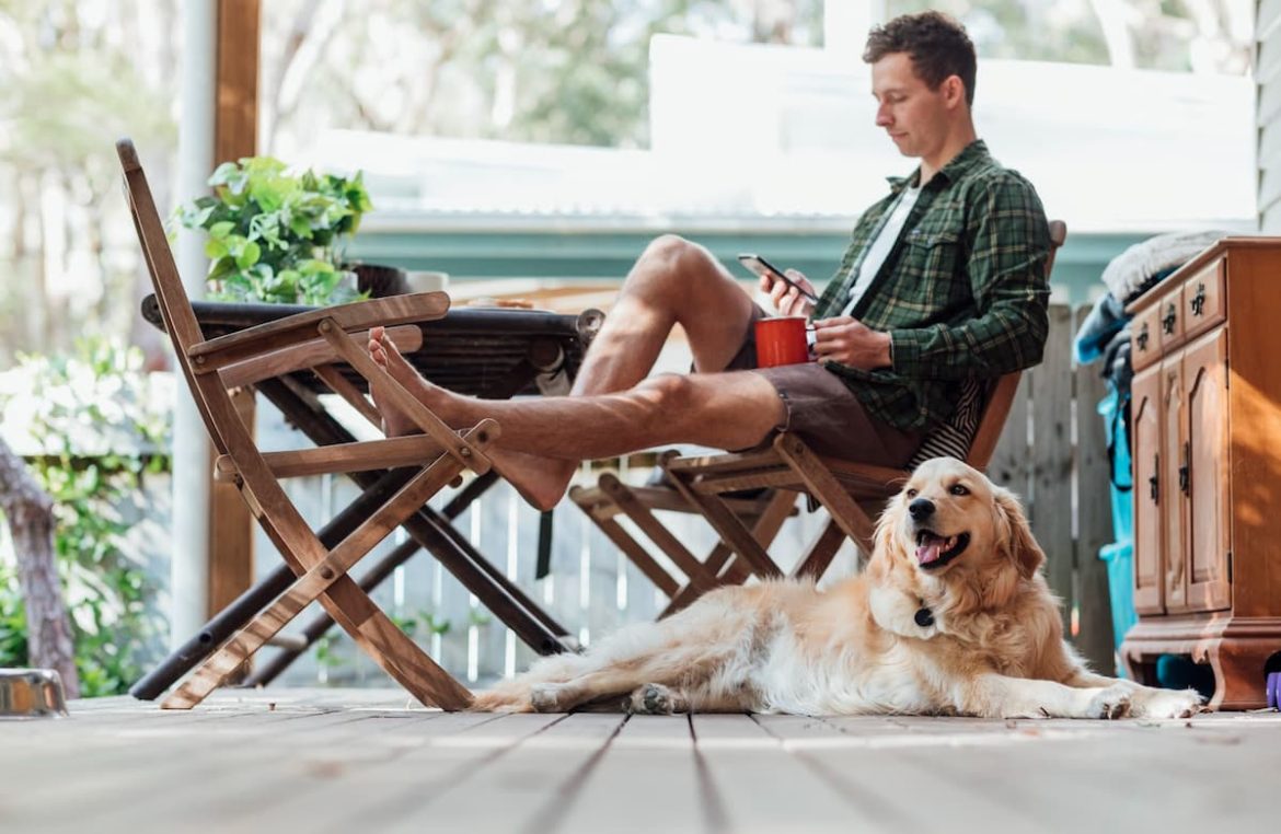 Budget-Direct-Pet-Insurance-1 Budget Direct pet insurance