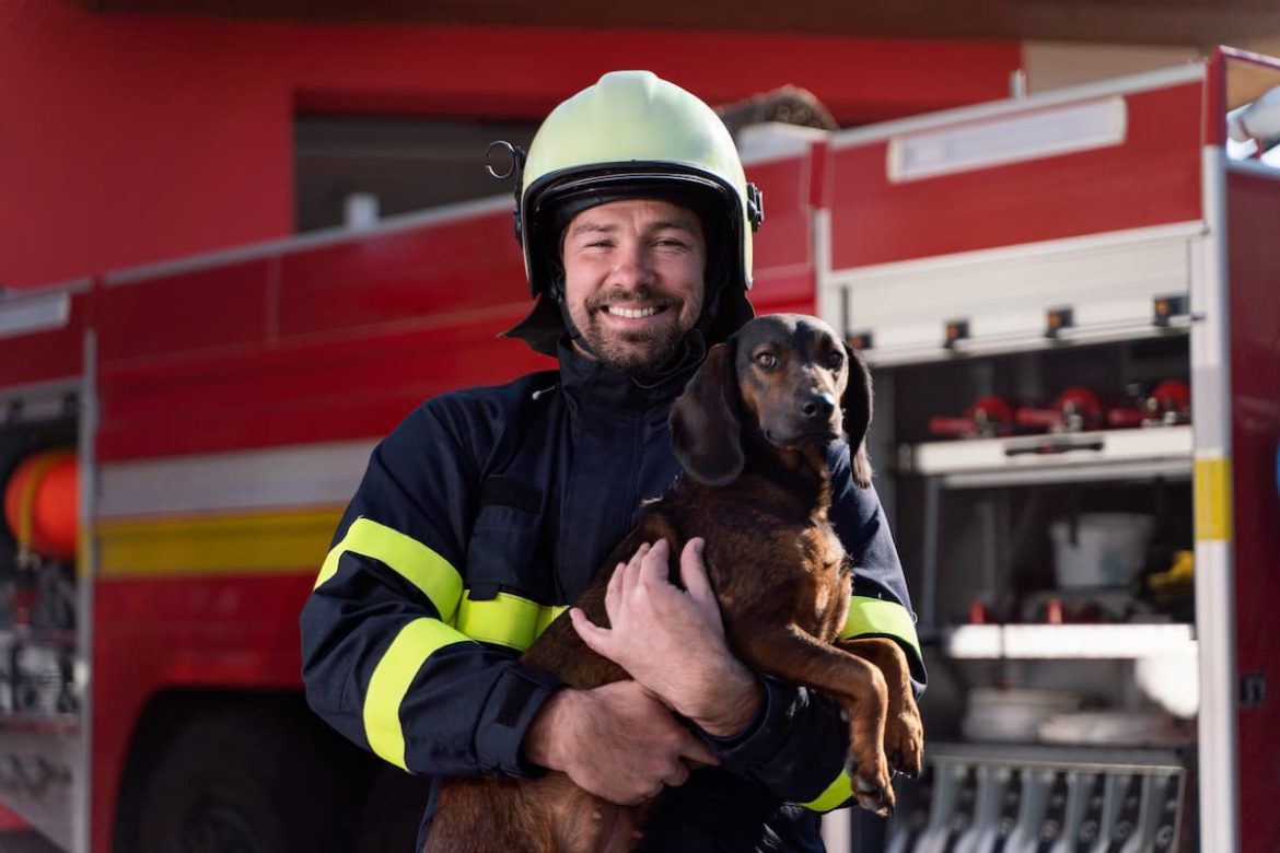 Have you got a pet fire safety plan in place?