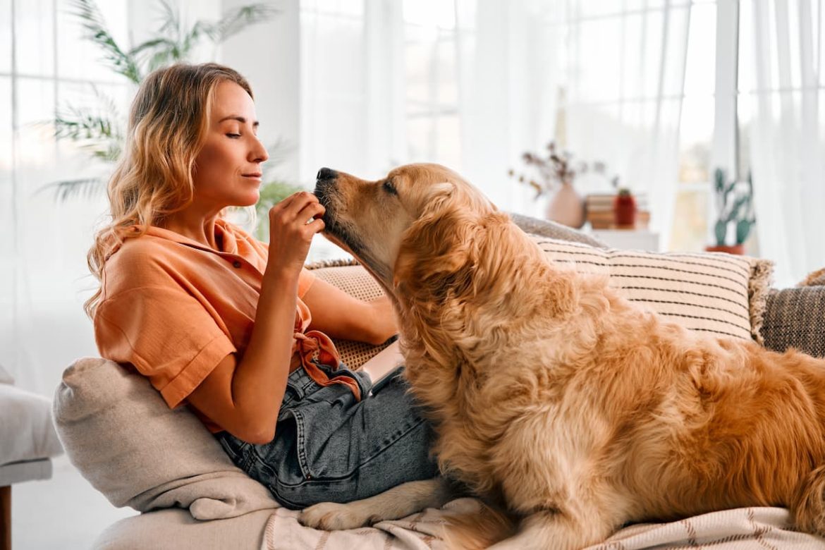 Looking to invite a golden retriever dog into your home? Here are 10 things to love about them