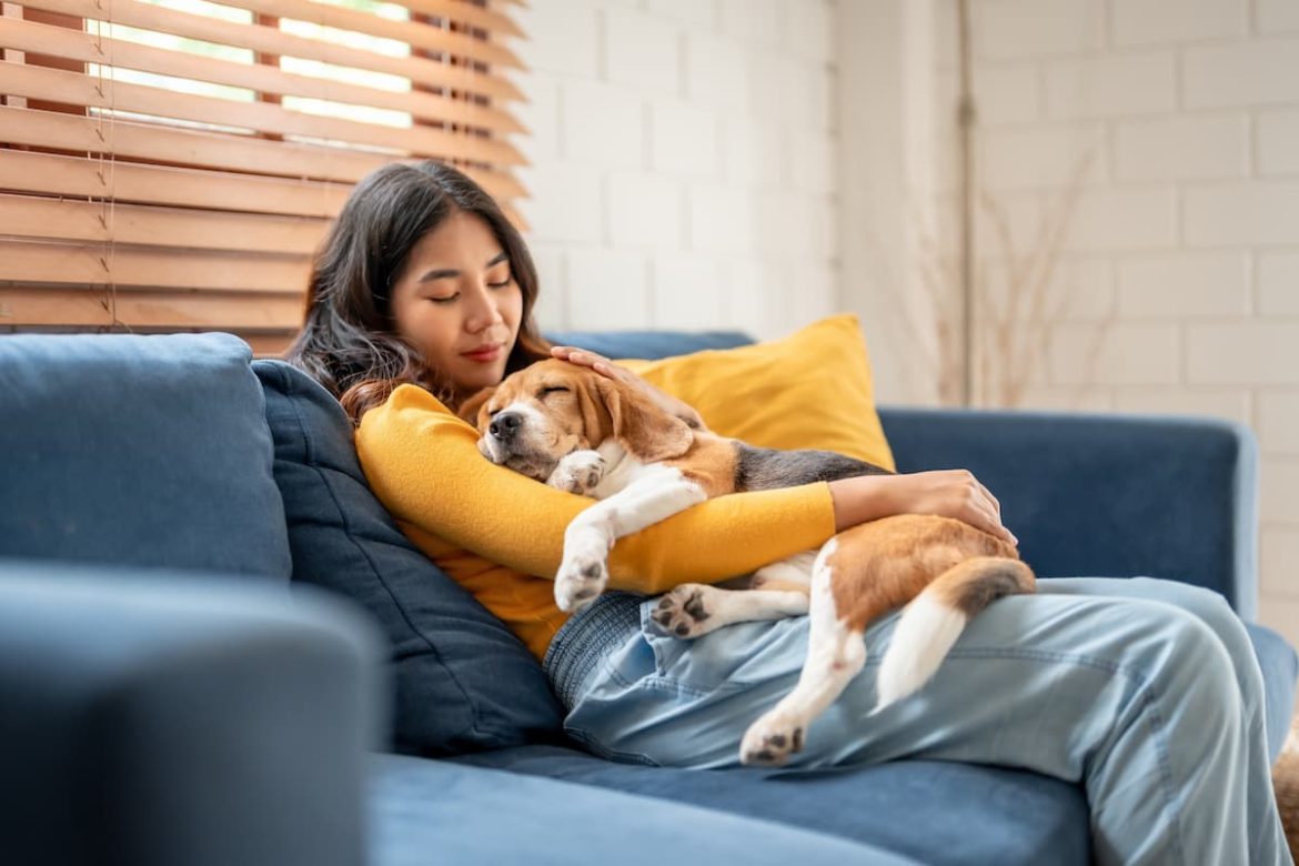 shutterstock_2480568663 (1) The unconditional love of a dog is like nothing else