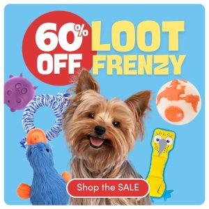Check out Waggly's sale on dog toys and dog treats