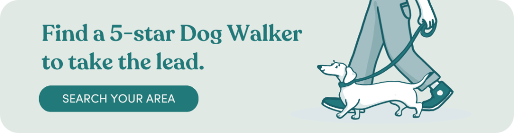 Dog Walker near me