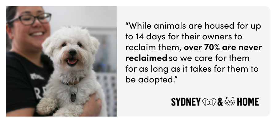 Sydney Dogs & Cats Home will never put a time limit on an animal's stay