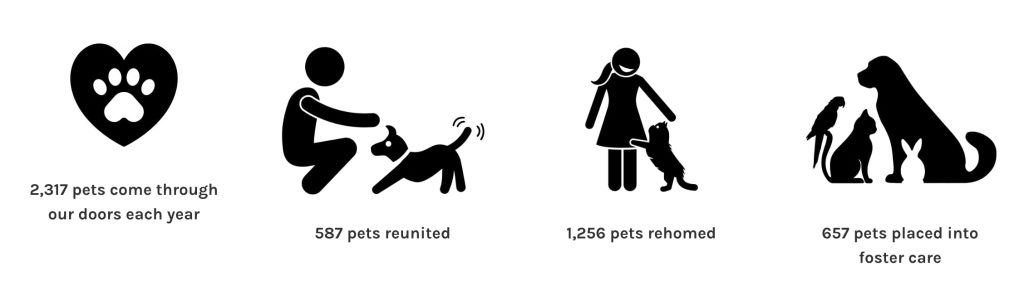 Sydney Dogs & Cats Home have helped many vulnerable pets over the years