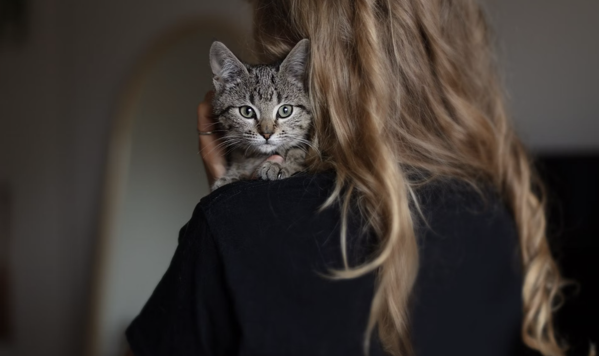 Sydney Dogs & Cats Home