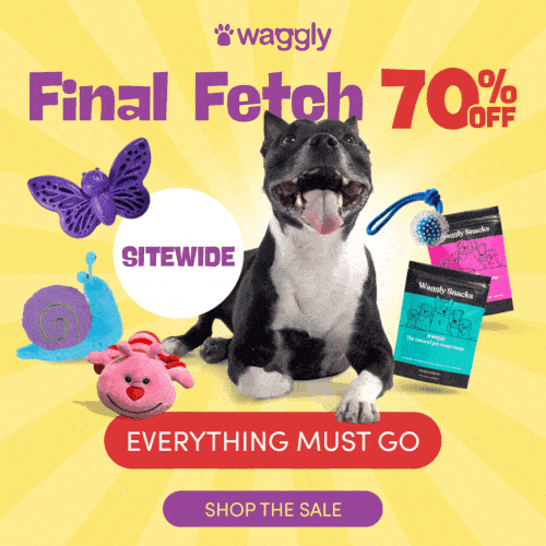 Shop the Waggly final fetch, with 70% OFF dog toys and dog treats