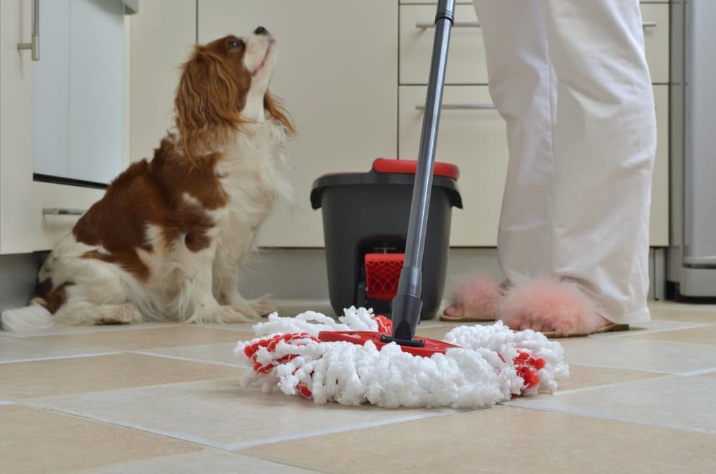 spring cleaning checklist with pets