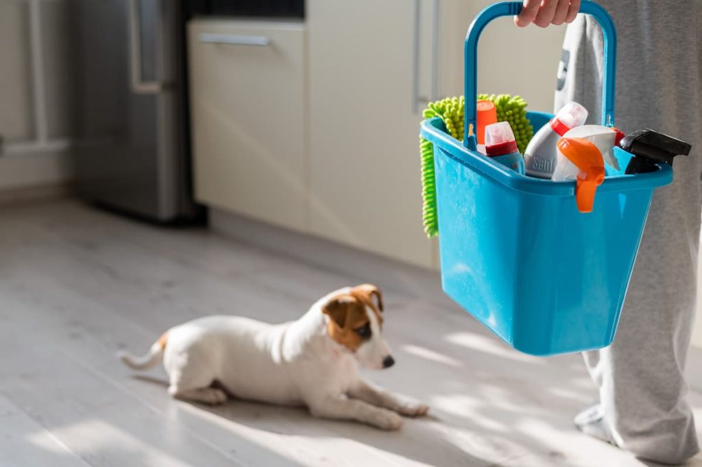 if you have pets, your spring cleaning checklist should avoid harsh chemicals