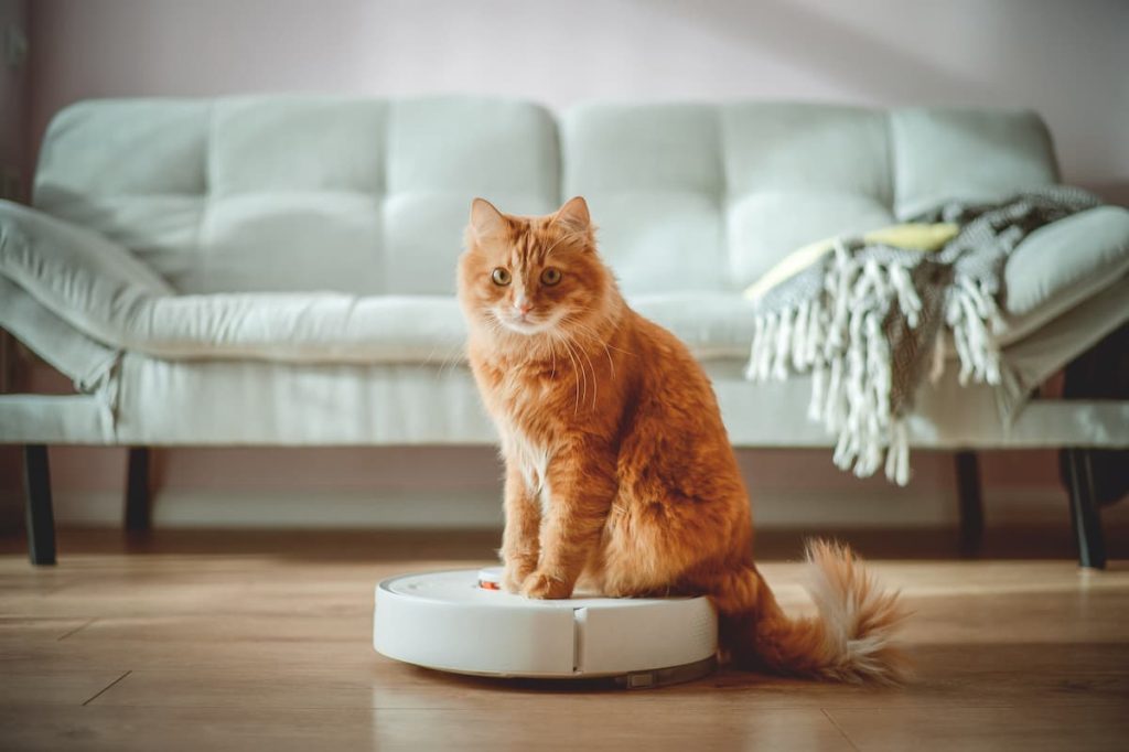 Don't let their fear of the vacuum deter you from your spring cleaning checklist