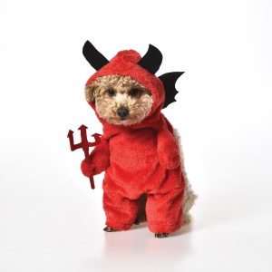 Big W have a great range of halloween costumes for pets