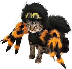 Spider Halloween costumes for pets