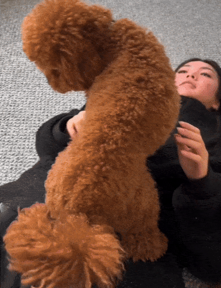 A loyal pet parent loves seeing their pet happy and cared for