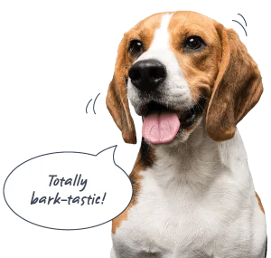 Buddy Pet Insurance is totally bark-tastic!