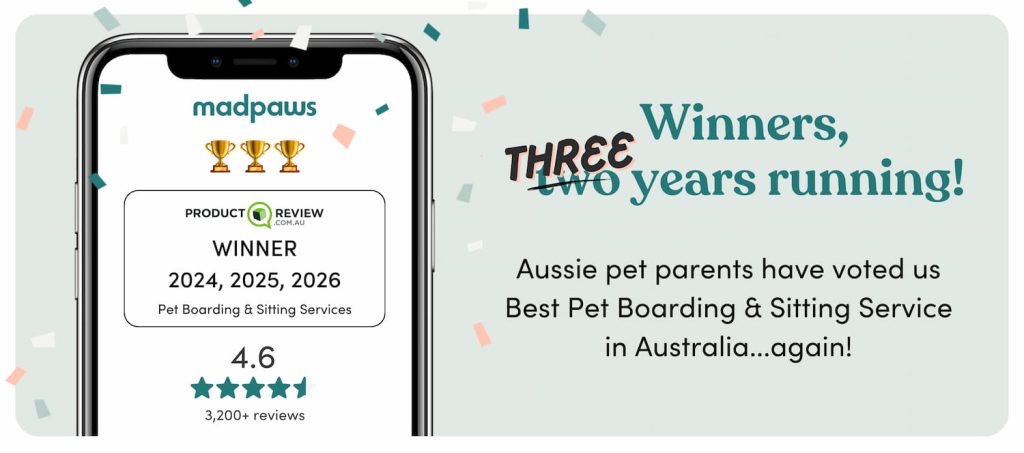 cat and dog boarding you can trust