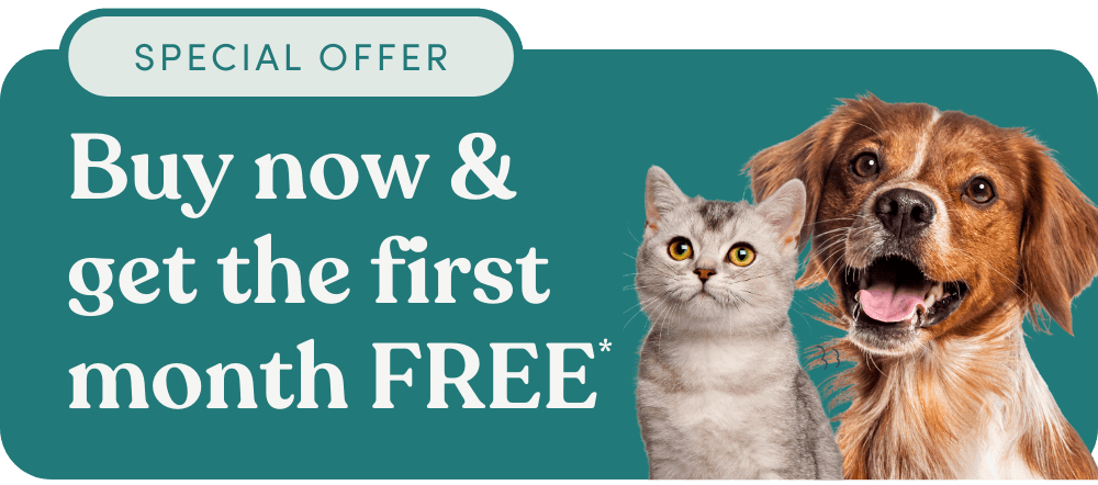 Buddy Pet Insurance offer
