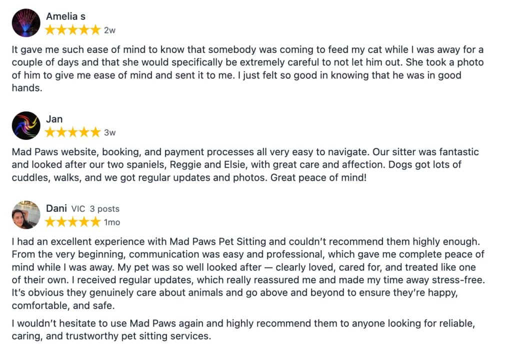 Mad Paws home-style dog boarding is a trusted and award-winning choice!