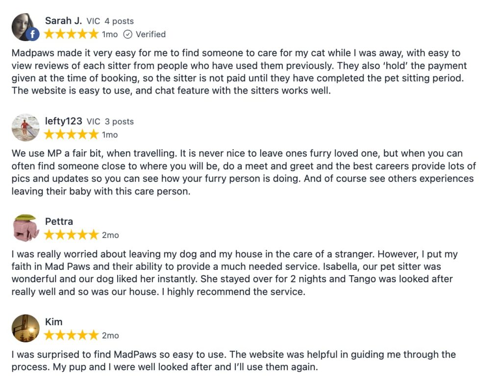 Mad Paws is the Dog Boarding alternative when personalised care is your priority