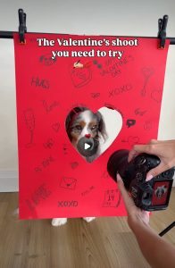 doggy date night photoshoot idea