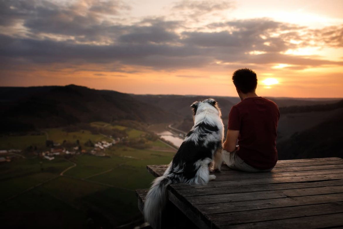 doggy date night idea #6: A sunset stroll together