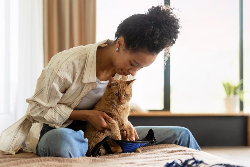 When teaching a cat in a harness, you need to work slowly so they're always comfortable