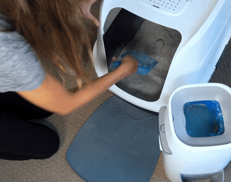 How to check for a healthy poo