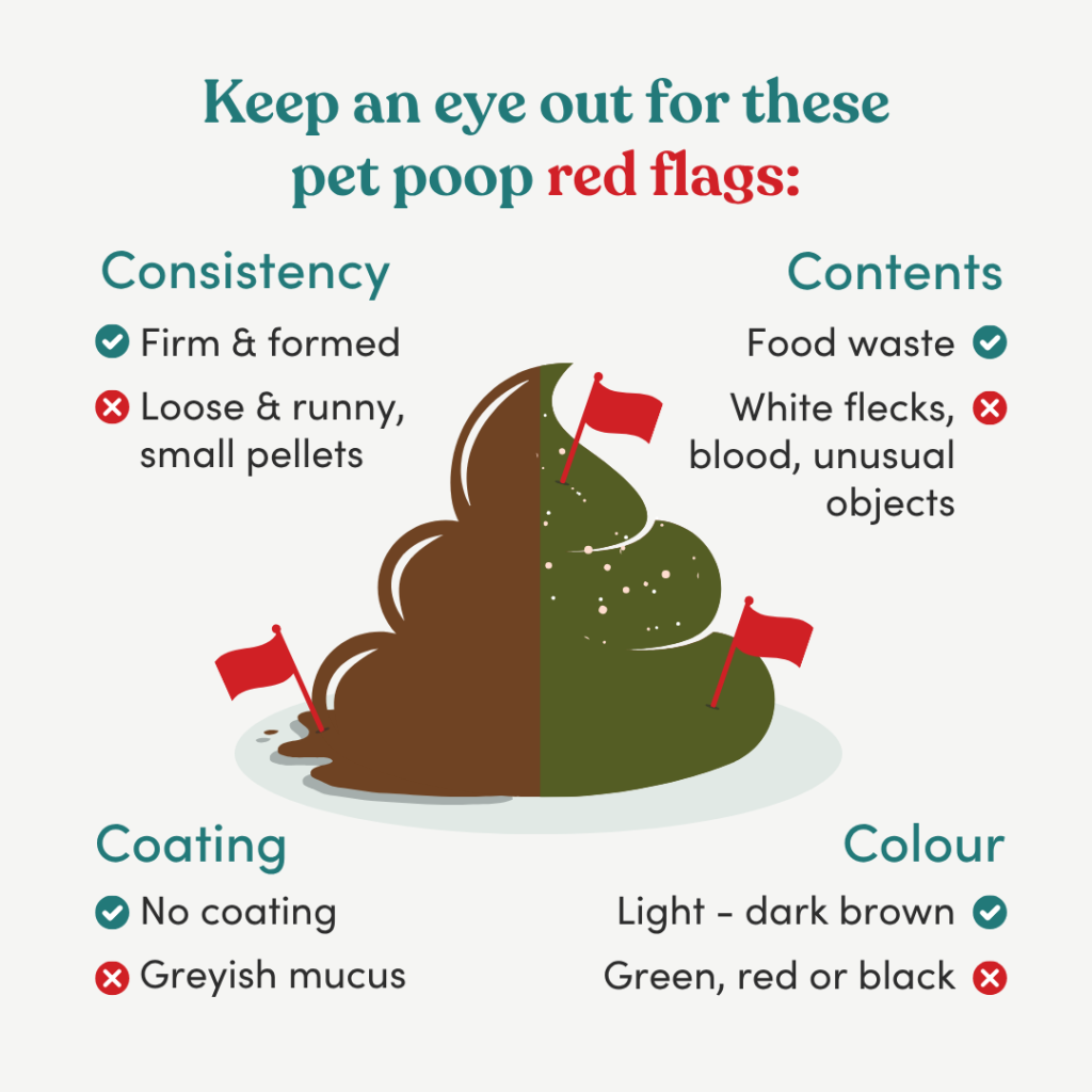 The 4 C's of a healthy dog poo