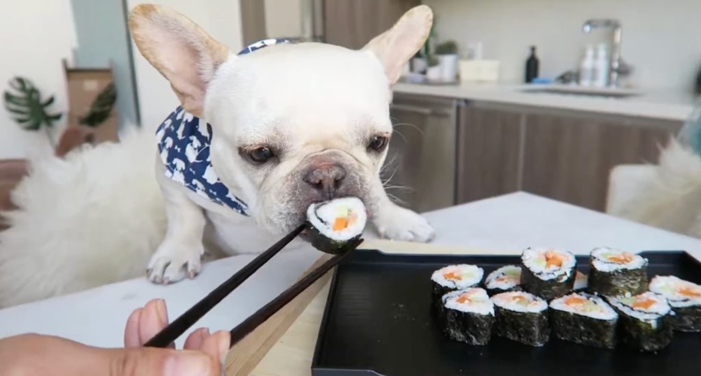 dog safe sushi recipe