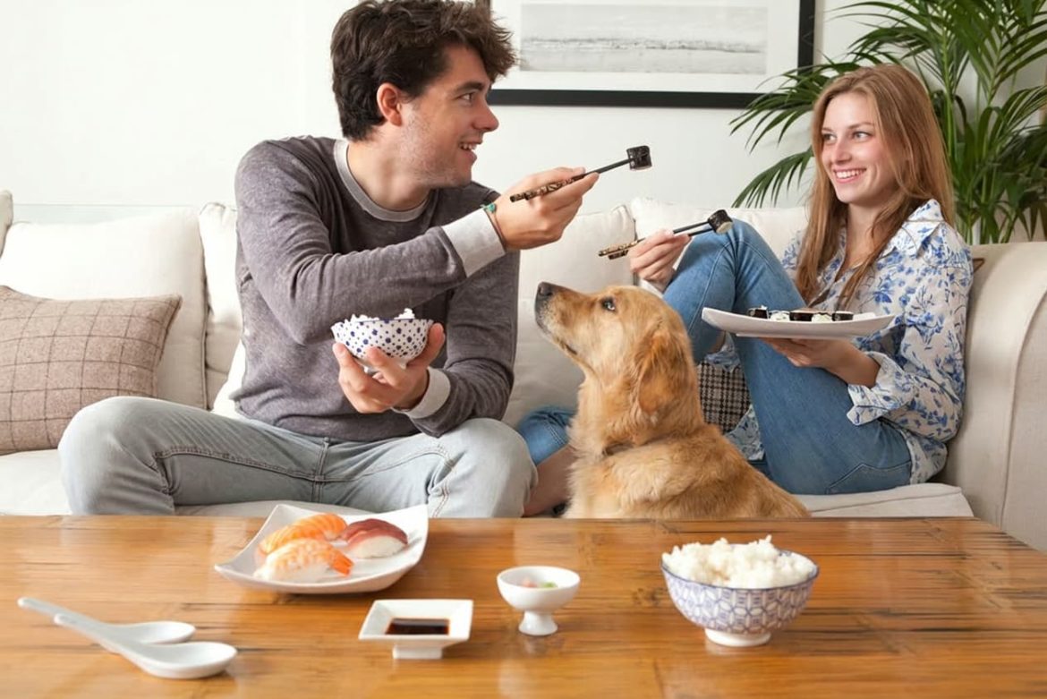 Dogs should not eat sushi, as there are many non-pet-friendly ingredients