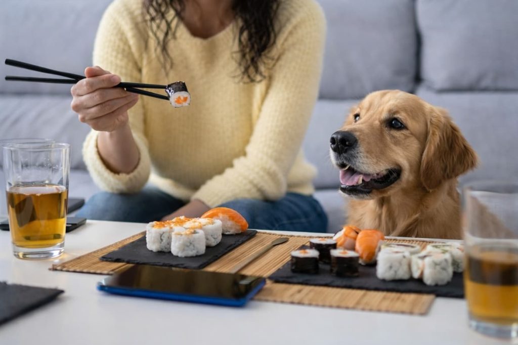 Can dogs eat sushi? Not really.