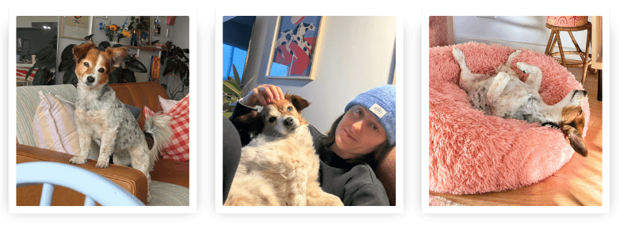 Brooke and her dog Lunar are part of the fabric of Mad Paws HQ