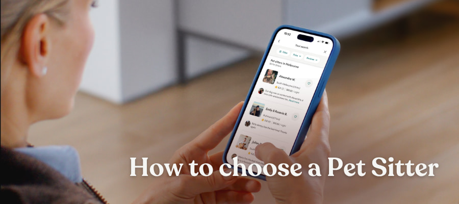 How to choose a Pet Sitter